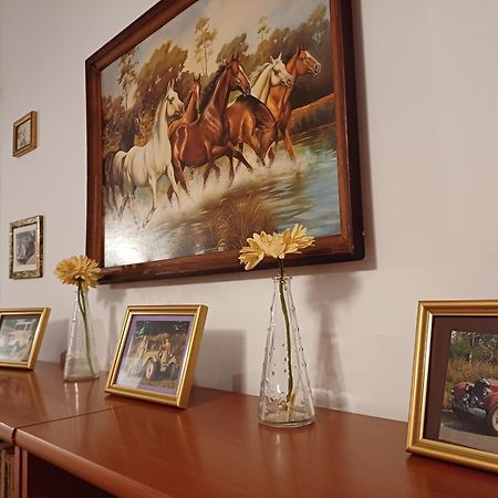 Letnisko Nad Goplem Villa Skulsk Buitenkant foto